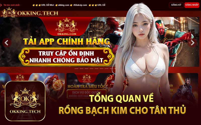 Tổng Quan Về Rồng Bạch Kim Cho Tân Thủ
